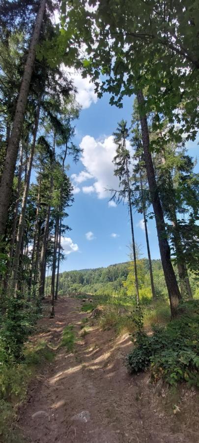 Na Kraji Lesa * Janov nad Nisou